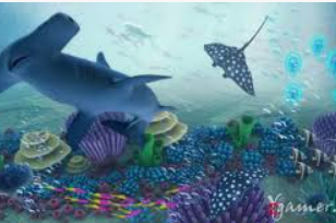 开元国际67ky最新版